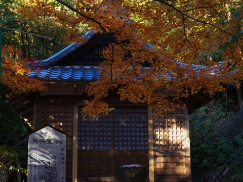 紅葉_c0077531_22491623.jpg