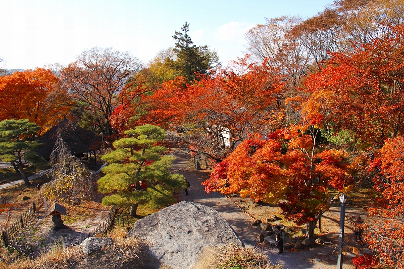 信州紅葉旅（その１０）小諸市懐古園_f0229832_152745.jpg