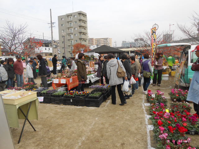 e0210934_17553428.jpg