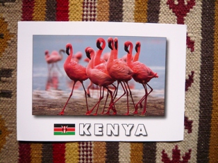 post card from KENYA_e0230141_1335764.jpg