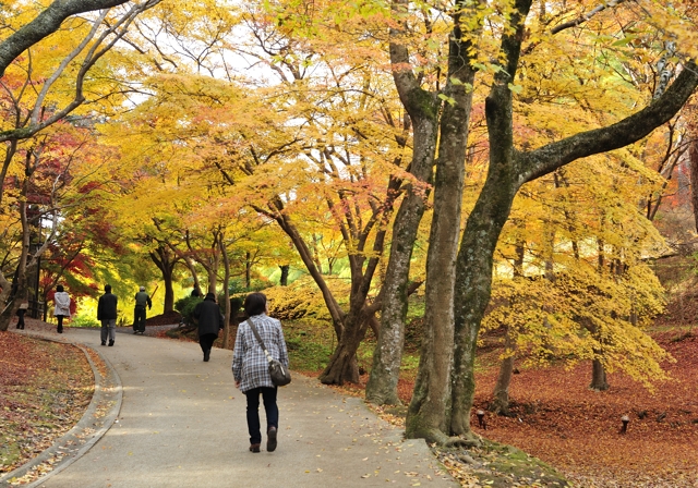 広島 尾関山公園の紅葉 気ままな時間を ゆったりと