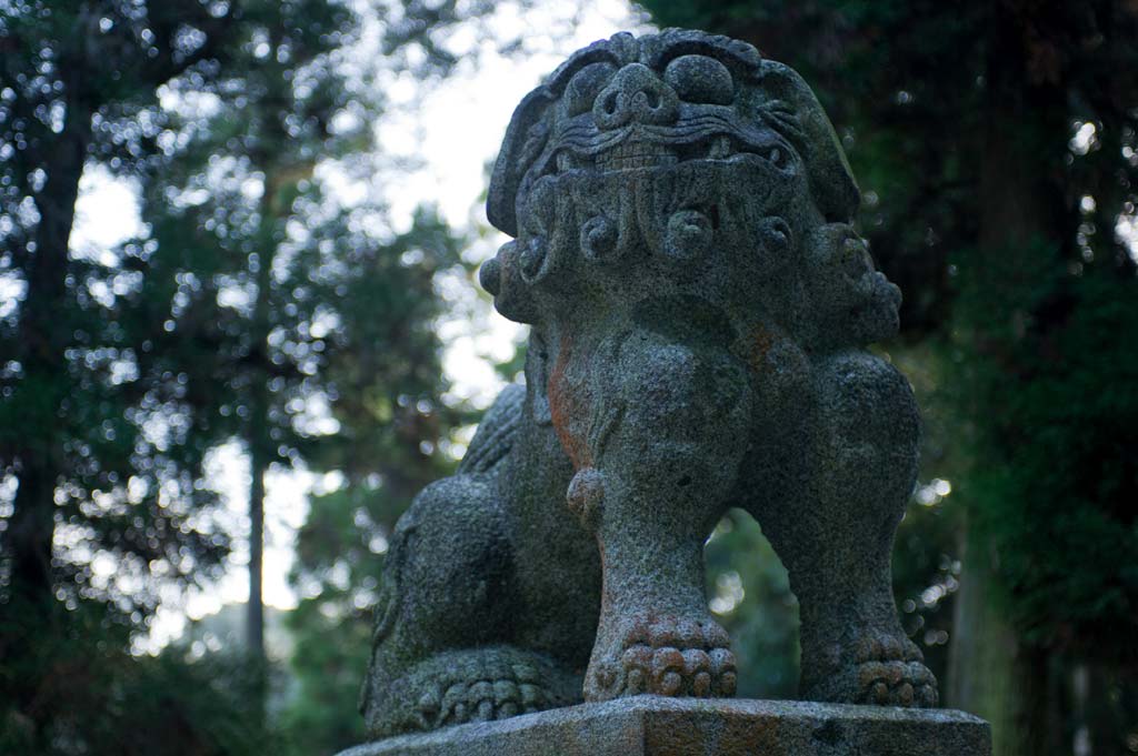 位登八幡神社　福岡県田川市位登_b0023047_5364868.jpg