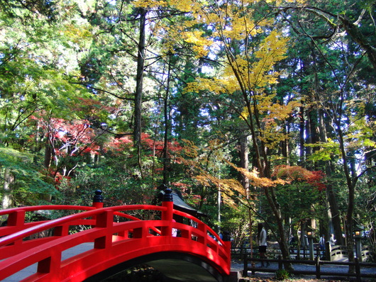 小國神社にいってきた（１１月２４日）_b0254548_21294083.jpg