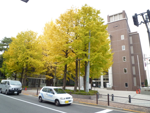 イチョウ並木_b0246953_16231745.jpg