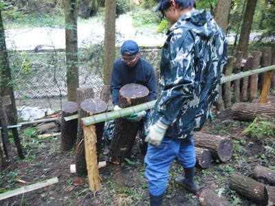 原木しいたけ ボタ木起し_a0254656_14545416.jpg