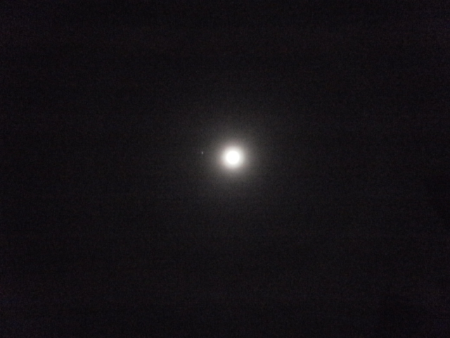 a0174458_1145246.jpg