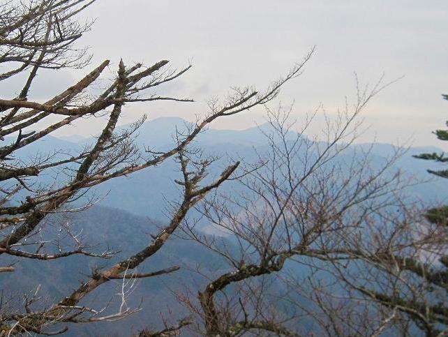 c0219866_10047.jpg