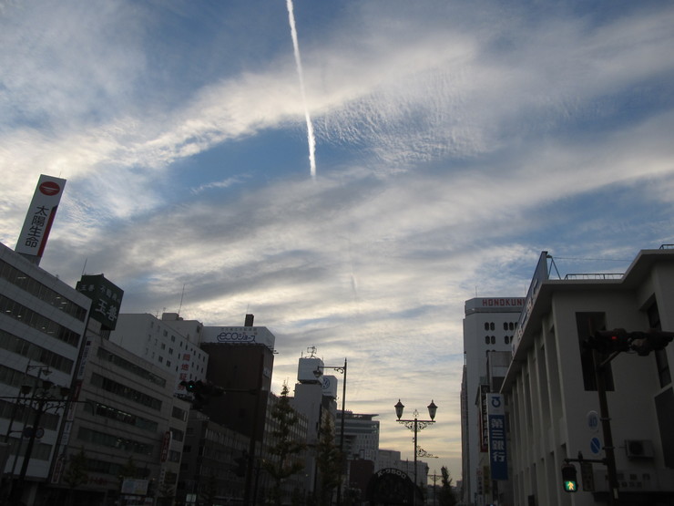 11月30日　猫、飛行機雲、本_d0277369_16442975.jpg