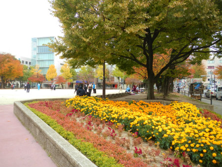 b0056570_22192233.jpg