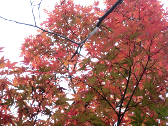 b0244372_8345983.jpg