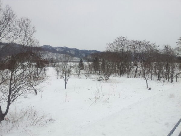 d0180174_1331876.jpg