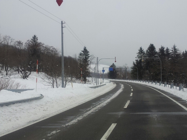 d0180174_13333952.jpg