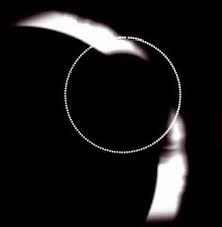 c0246876_354811.png