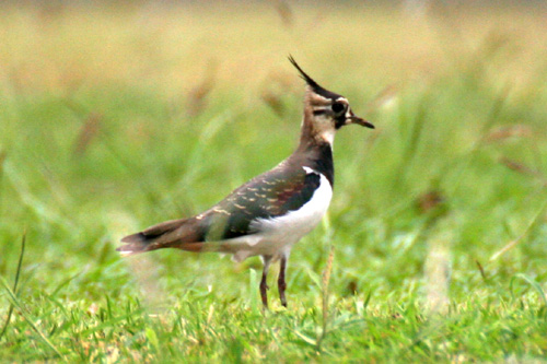 b0084378_14452.jpg