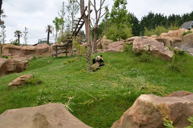 フランス旅行２０１２年春第４日目＠その５　ボバール動物園_a0052986_7305189.jpg