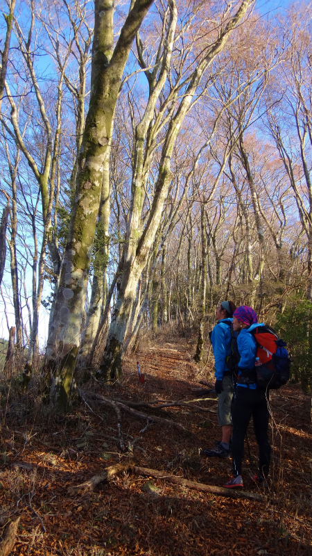 果無山脈ファストパッキング 2012/11/20-21_b0220886_10105897.jpg