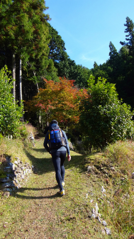 果無山脈ファストパッキング 2012/11/20-21_b0220886_1081195.jpg