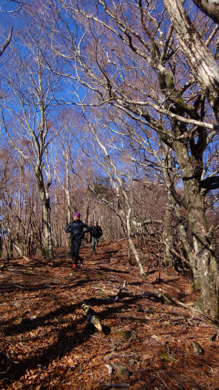 果無山脈ファストパッキング 2012/11/20-21_b0220886_17583420.jpg