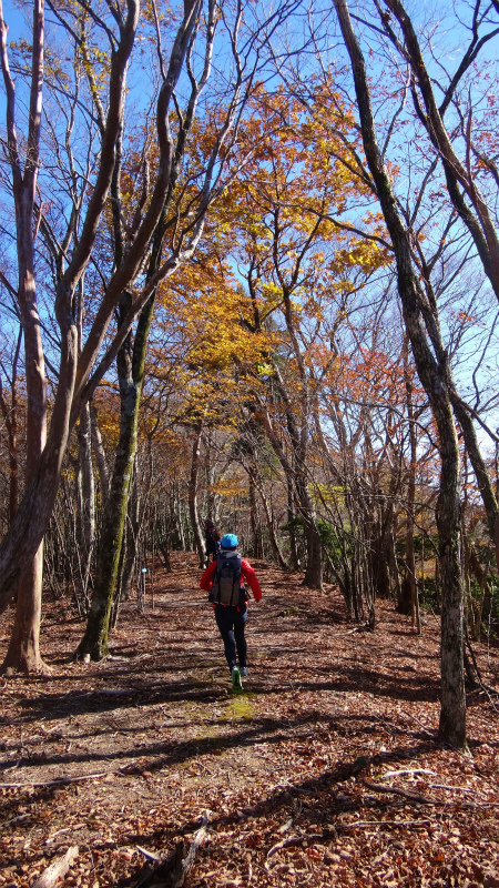 果無山脈ファストパッキング 2012/11/20-21_b0220886_1811768.jpg
