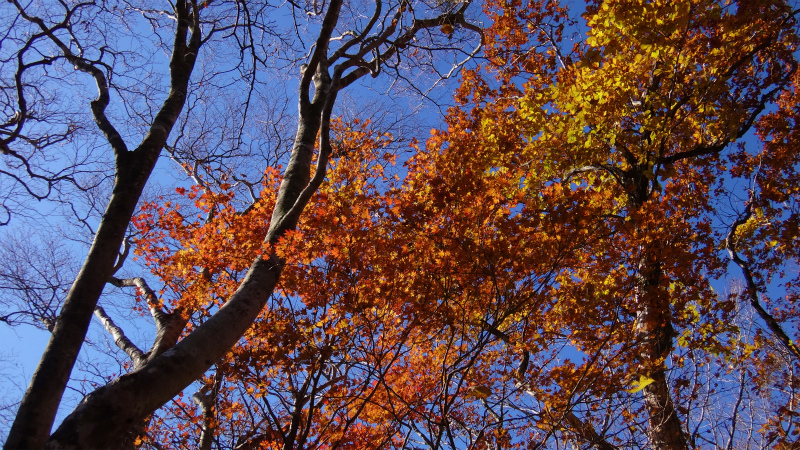 果無山脈ファストパッキング 2012/11/20-21_b0220886_1812921.jpg