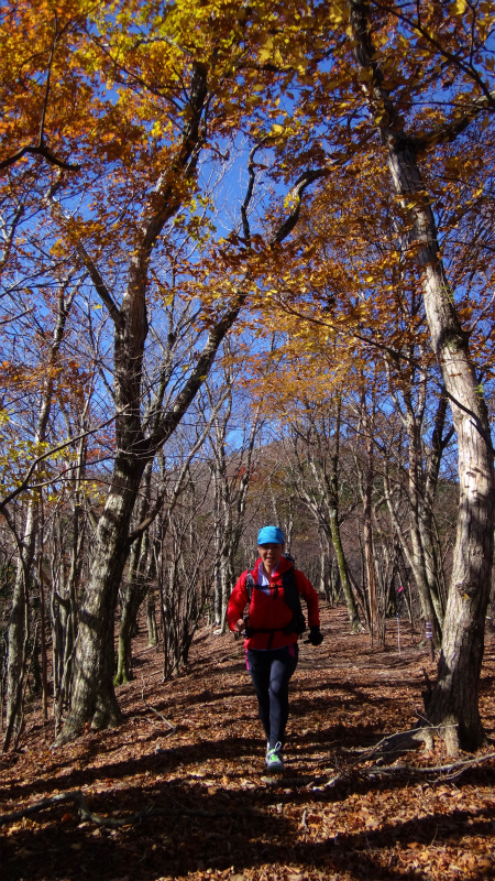 果無山脈ファストパッキング 2012/11/20-21_b0220886_1814288.jpg