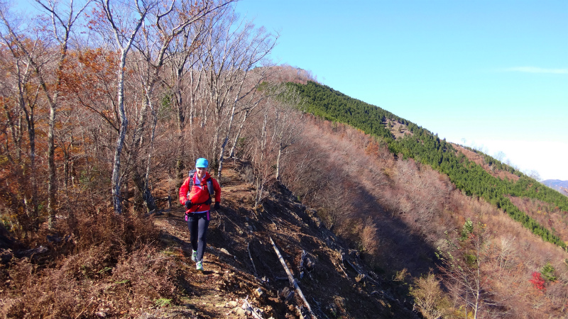 果無山脈ファストパッキング 2012/11/20-21_b0220886_181717.jpg