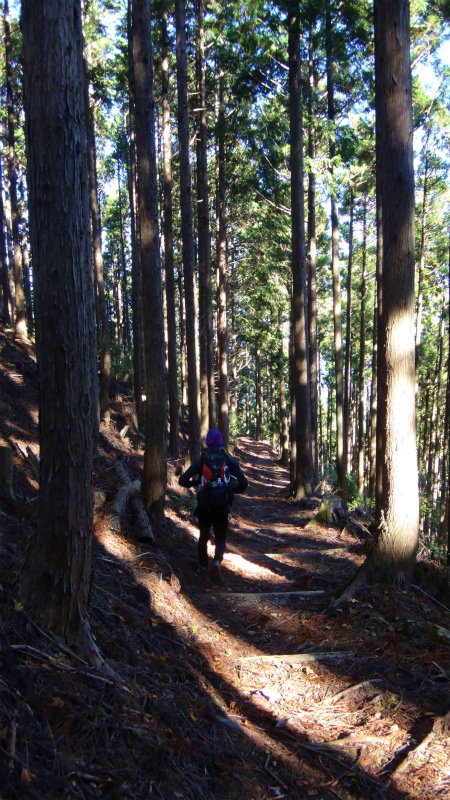 果無山脈ファストパッキング 2012/11/20-21_b0220886_18183967.jpg