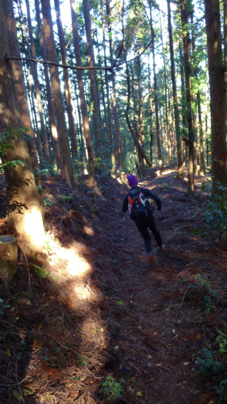 果無山脈ファストパッキング 2012/11/20-21_b0220886_18205063.jpg