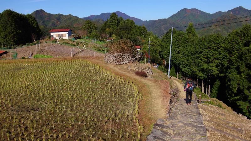 果無山脈ファストパッキング 2012/11/20-21_b0220886_18244426.jpg
