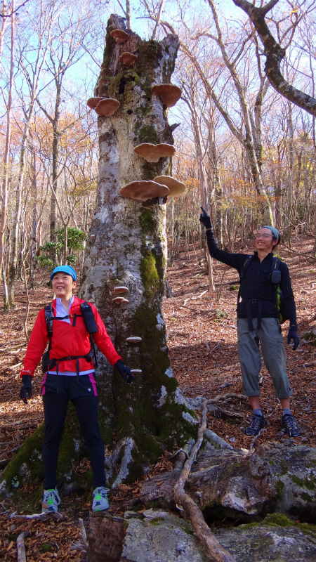 果無山脈ファストパッキング 2012/11/20-21_b0220886_1832561.jpg