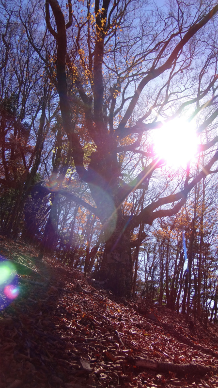 果無山脈ファストパッキング 2012/11/20-21_b0220886_1842994.jpg