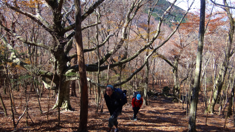 果無山脈ファストパッキング 2012/11/20-21_b0220886_1843910.jpg