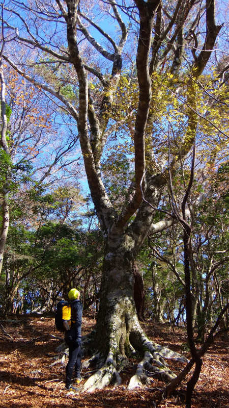 果無山脈ファストパッキング 2012/11/20-21_b0220886_1845494.jpg