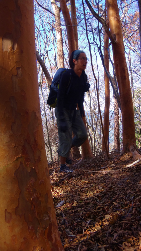 果無山脈ファストパッキング 2012/11/20-21_b0220886_1894180.jpg