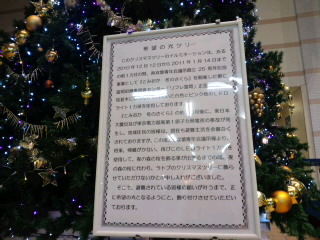 特別なクリスマスツリー。_d0027486_14192470.jpg