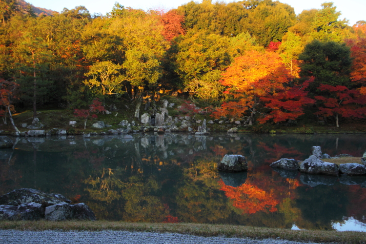 天龍寺_e0051888_20433135.jpg