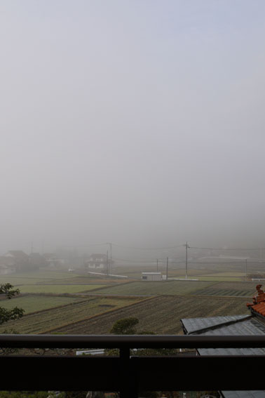 霜月の終わり…霧の朝から夕暮れまで_f0222692_13143885.jpg