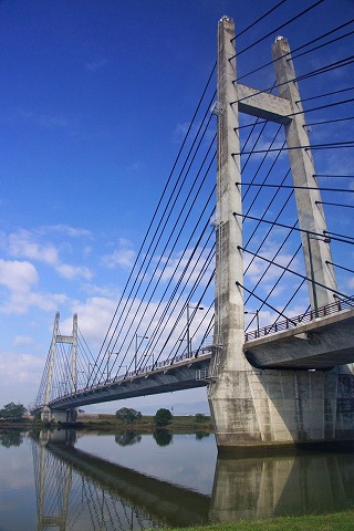 e0176993_8123835.jpg