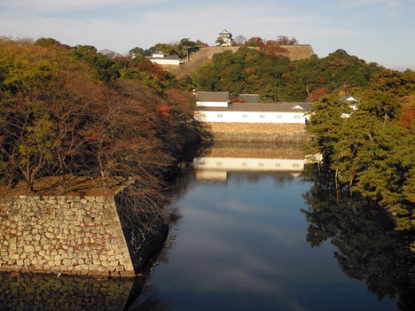 e0116694_215317.jpg