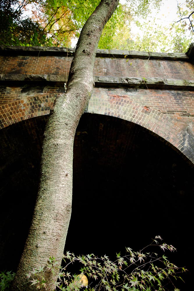 f0220502_1748093.jpg