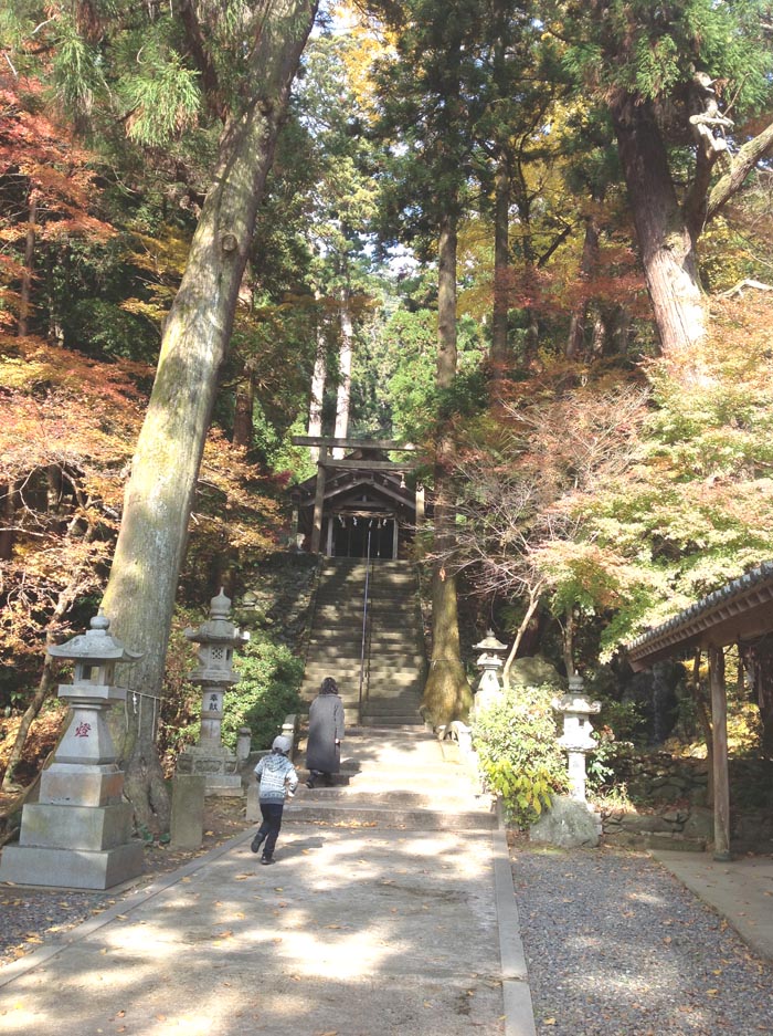 12月始まり…猪野の聖地。古神殿御柱にて_f0071303_2240068.jpg