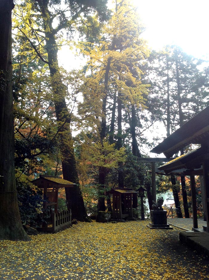 12月始まり…猪野の聖地。古神殿御柱にて_f0071303_22474292.jpg