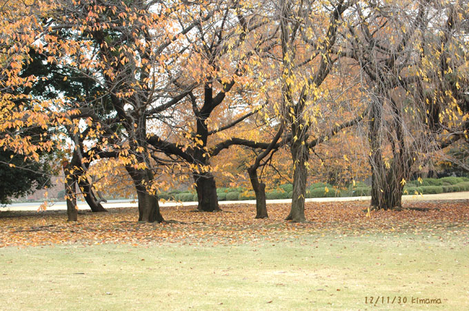 c0051105_10273516.jpg
