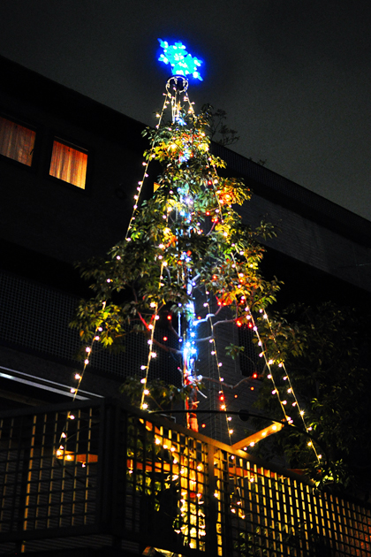 f0080105_15215511.jpg