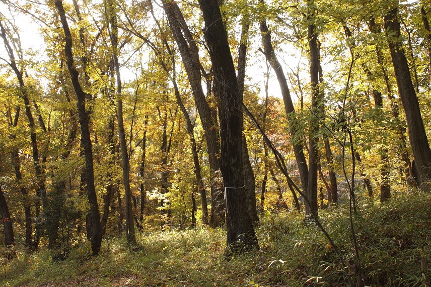 e0102806_1642336.jpg