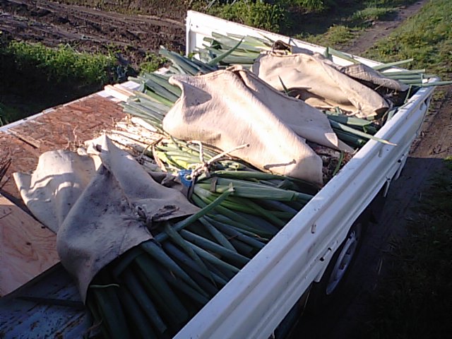 f0231709_18182890.jpg