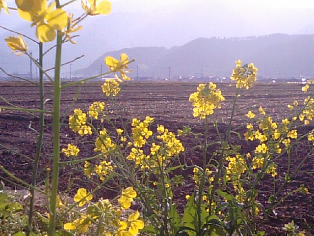 f0231709_18191710.jpg