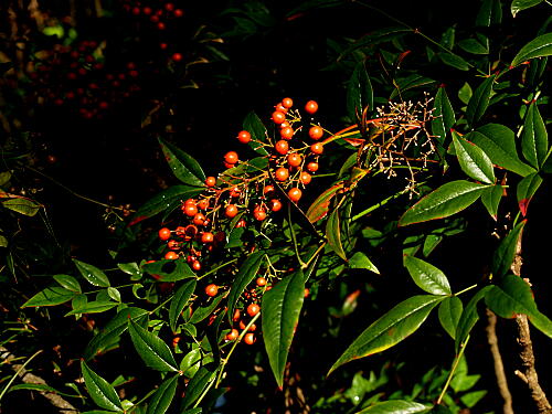 f0219710_7261327.jpg