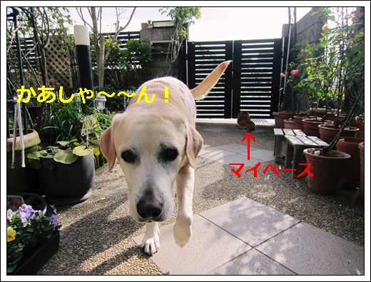 a0197911_20421113.jpg