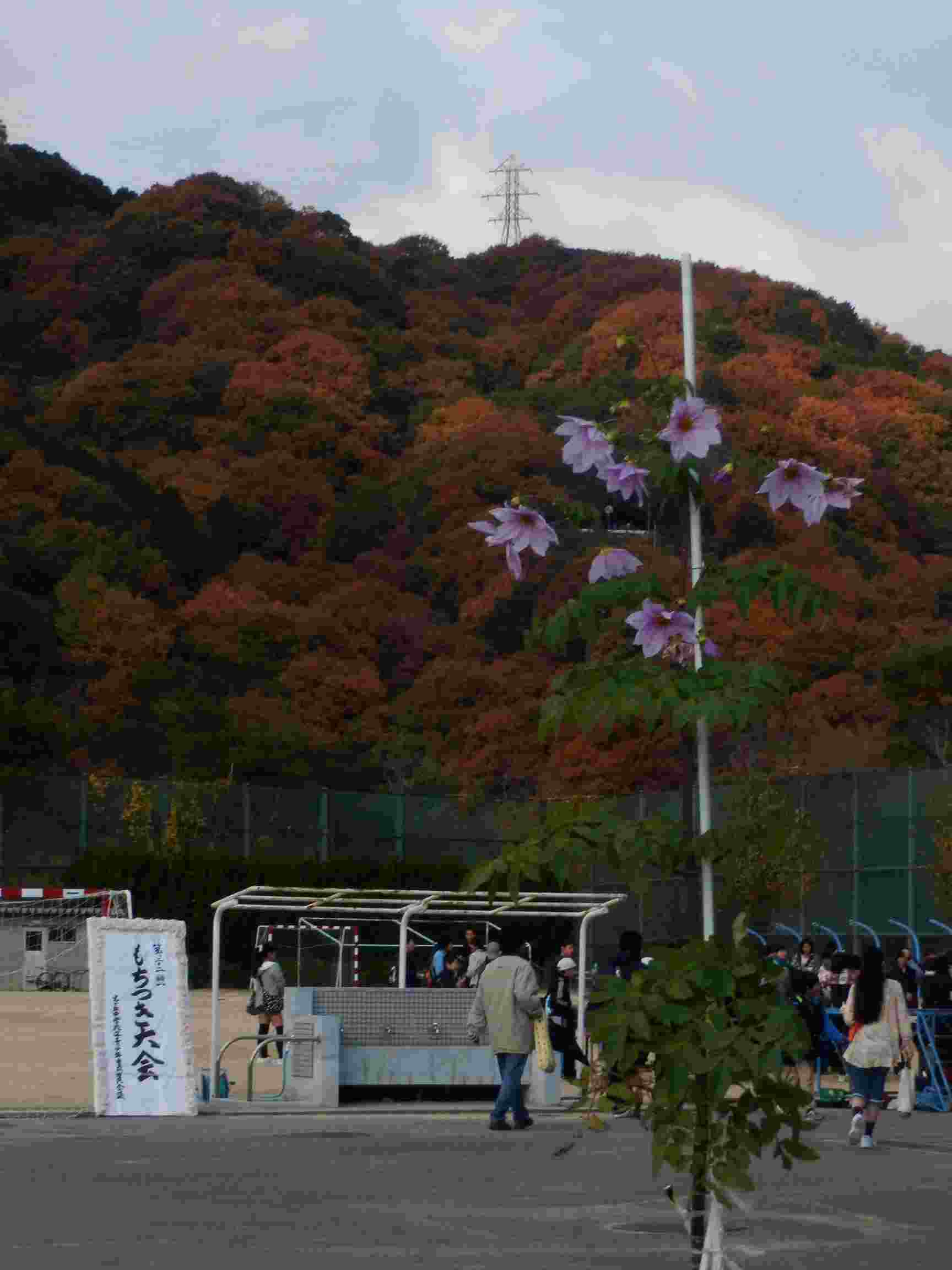 c0062511_2103944.jpg